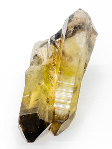 Madagascar Citrine