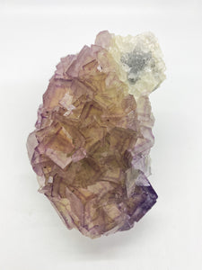 Purple Window Fluorite